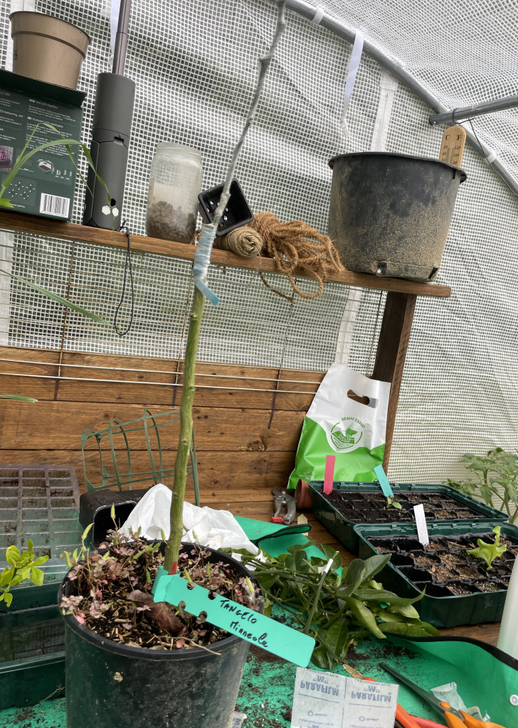 Zoomer sur l'image : 