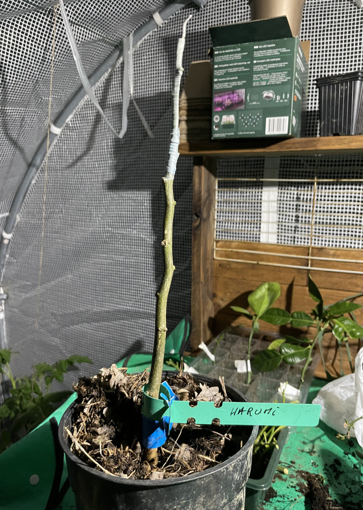 Zoomer sur l'image : 