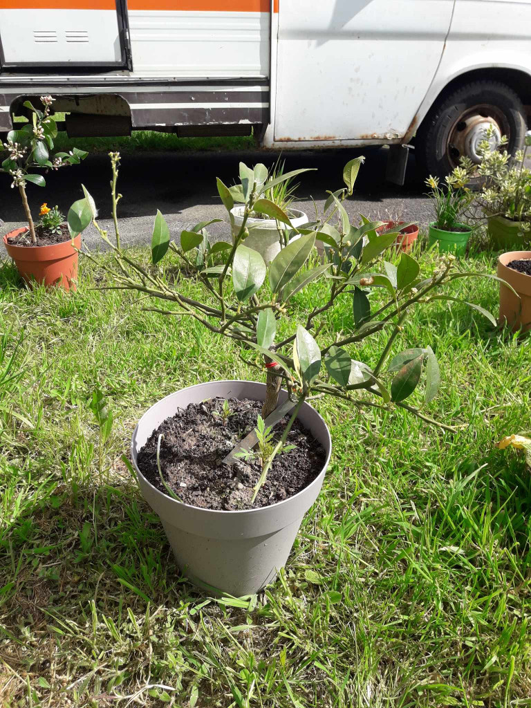 Zoomer sur l'image : 