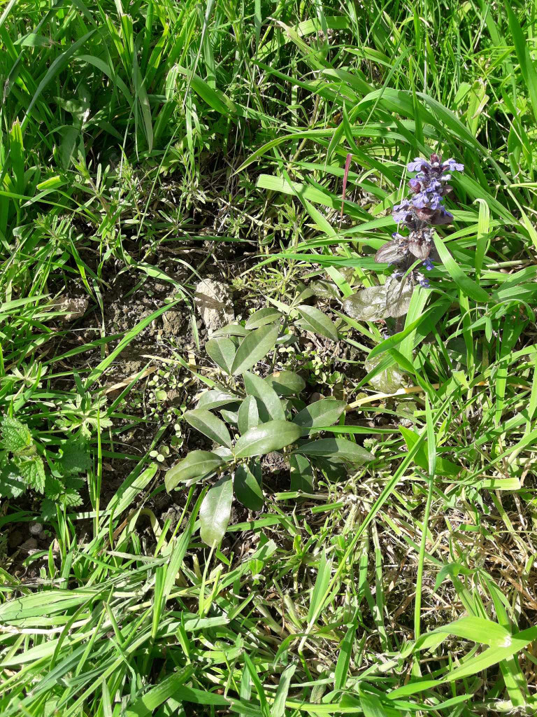 Zoomer sur l'image : 