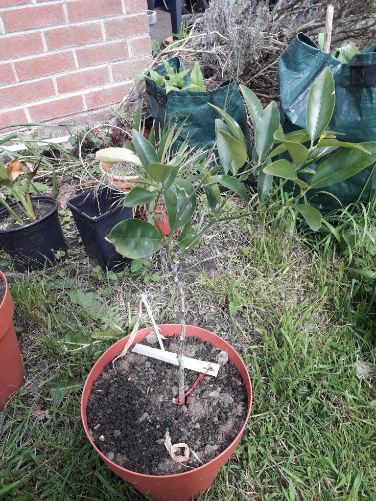 Zoomer sur l'image : 