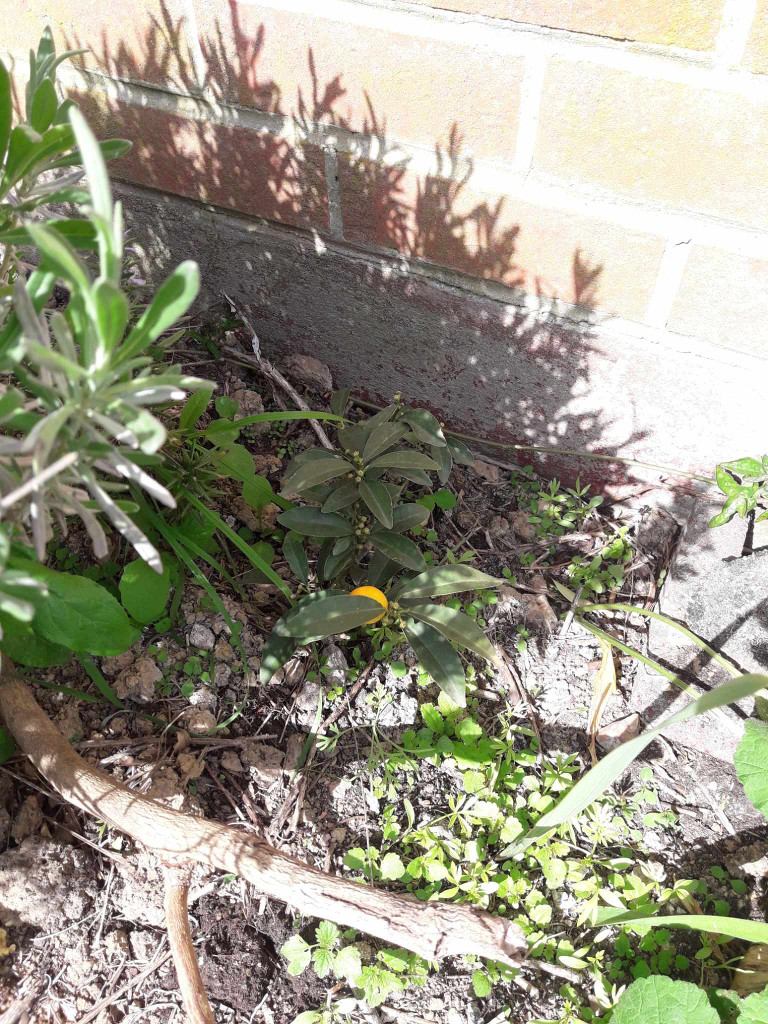 Zoomer sur l'image : 