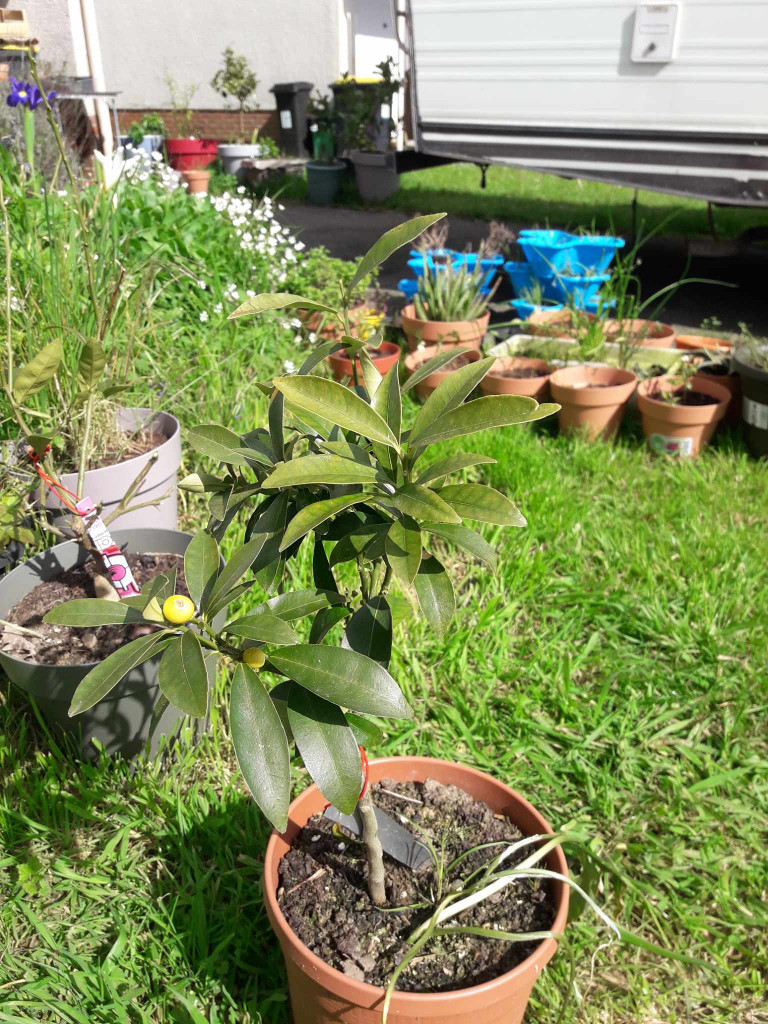 Zoomer sur l'image : 