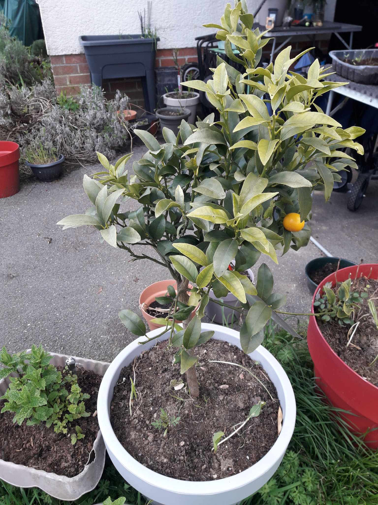 Zoomer sur l'image : 