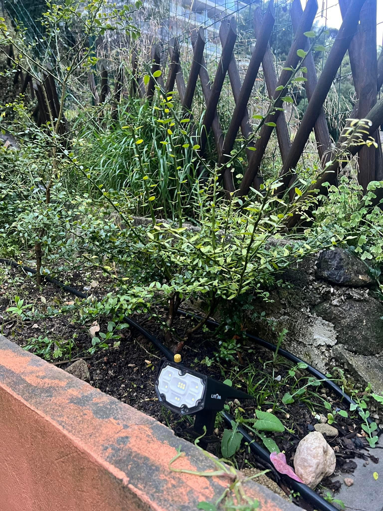 Zoomer sur l'image : 