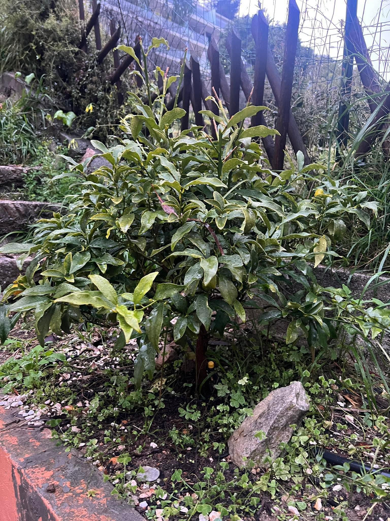 Zoomer sur l'image : 