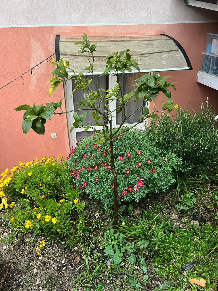 Zoomer sur l'image : 