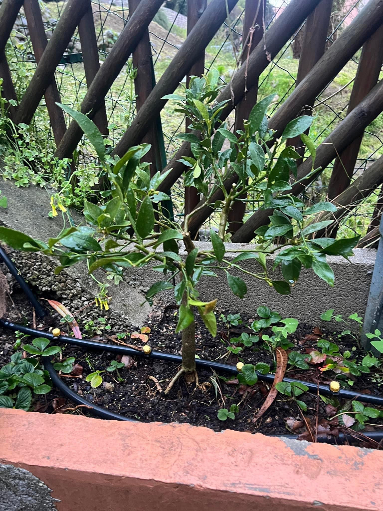 Zoomer sur l'image : 