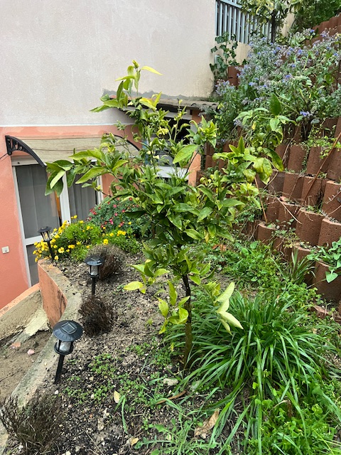 Zoomer sur l'image : 