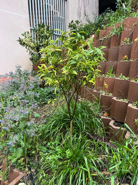 Zoomer sur l'image : 