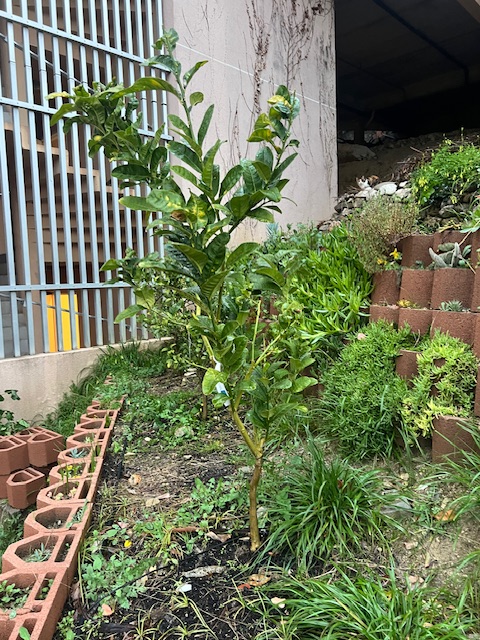 Zoomer sur l'image : 