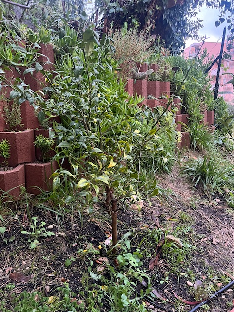 Zoomer sur l'image : 