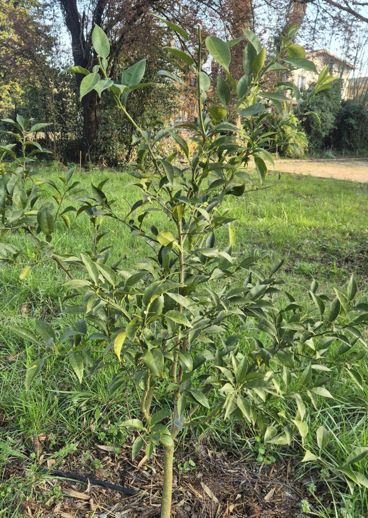 Zoomer sur l'image : 