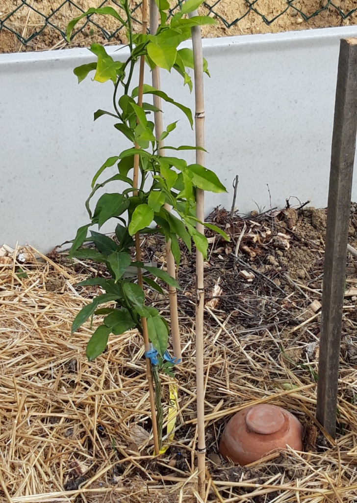 Zoomer sur l'image : 