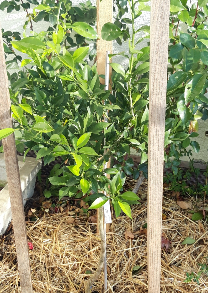 Zoomer sur l'image : 300m