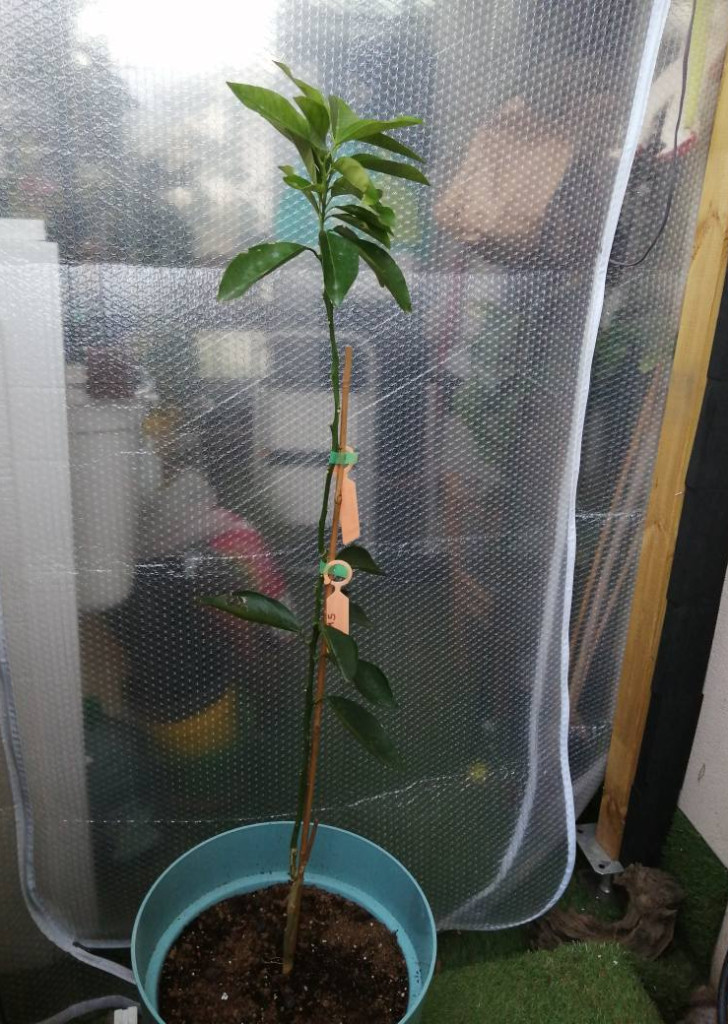 Zoomer sur l'image : 