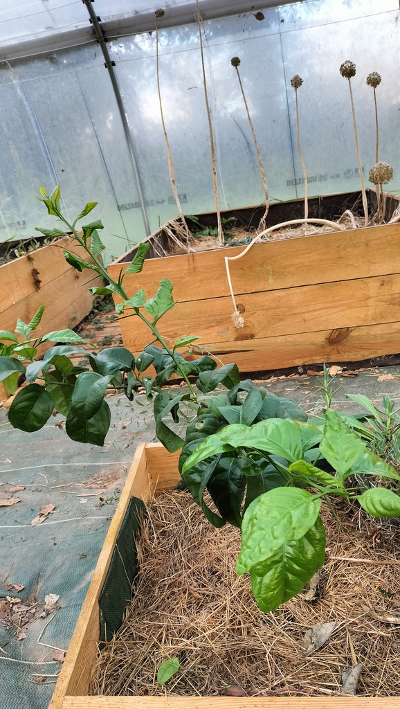 Zoomer sur l'image : USA 119