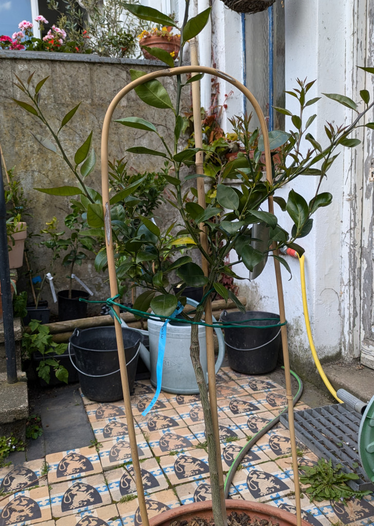 Zoomer sur l'image : 