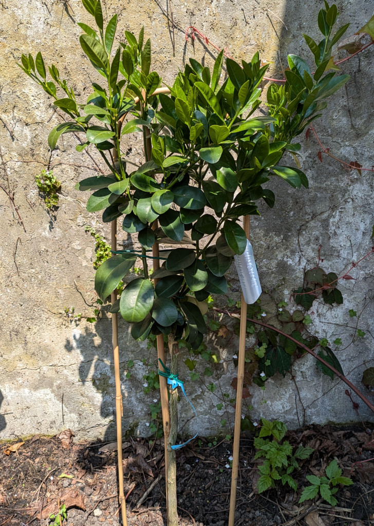 Zoomer sur l'image : 