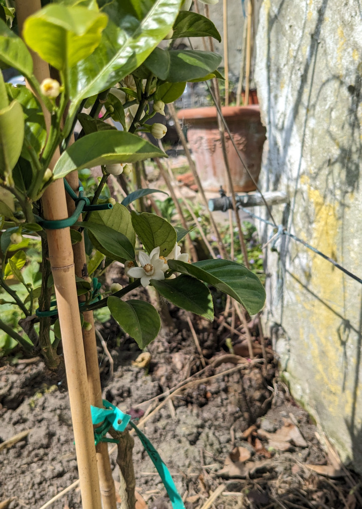 Zoomer sur l'image : 