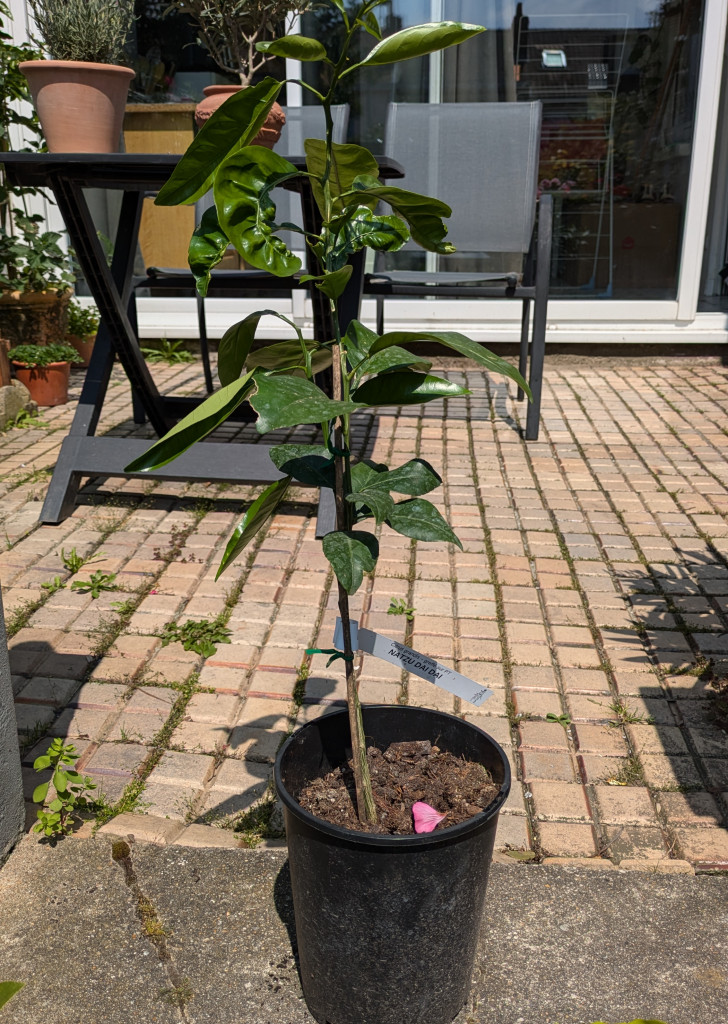 Zoomer sur l'image : 