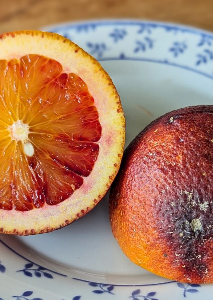 Zoomer sur l'image : 