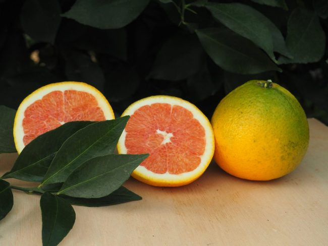 Zoomer sur l'image : 