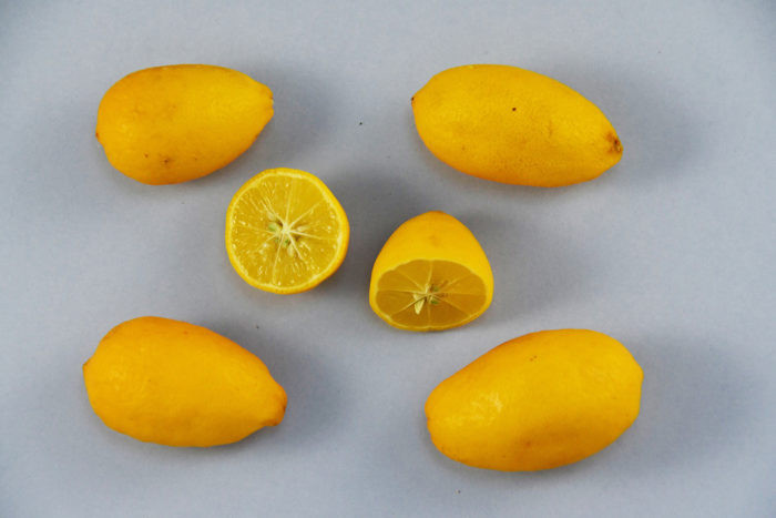 Zoomer sur l'image : 