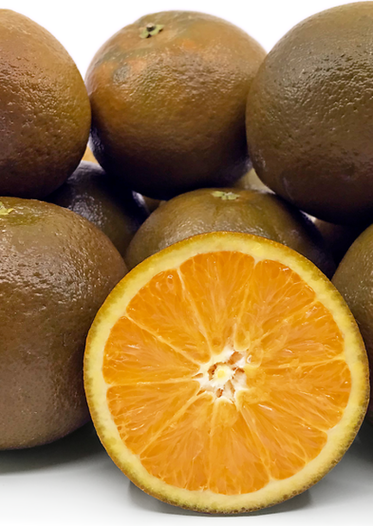 Zoomer sur l'image : 