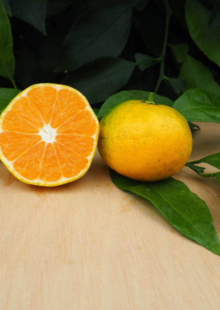 Zoomer sur l'image : 