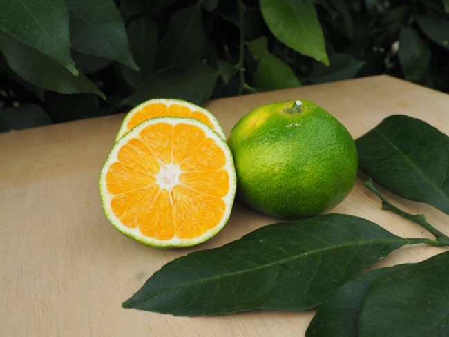 Zoomer sur l'image : 