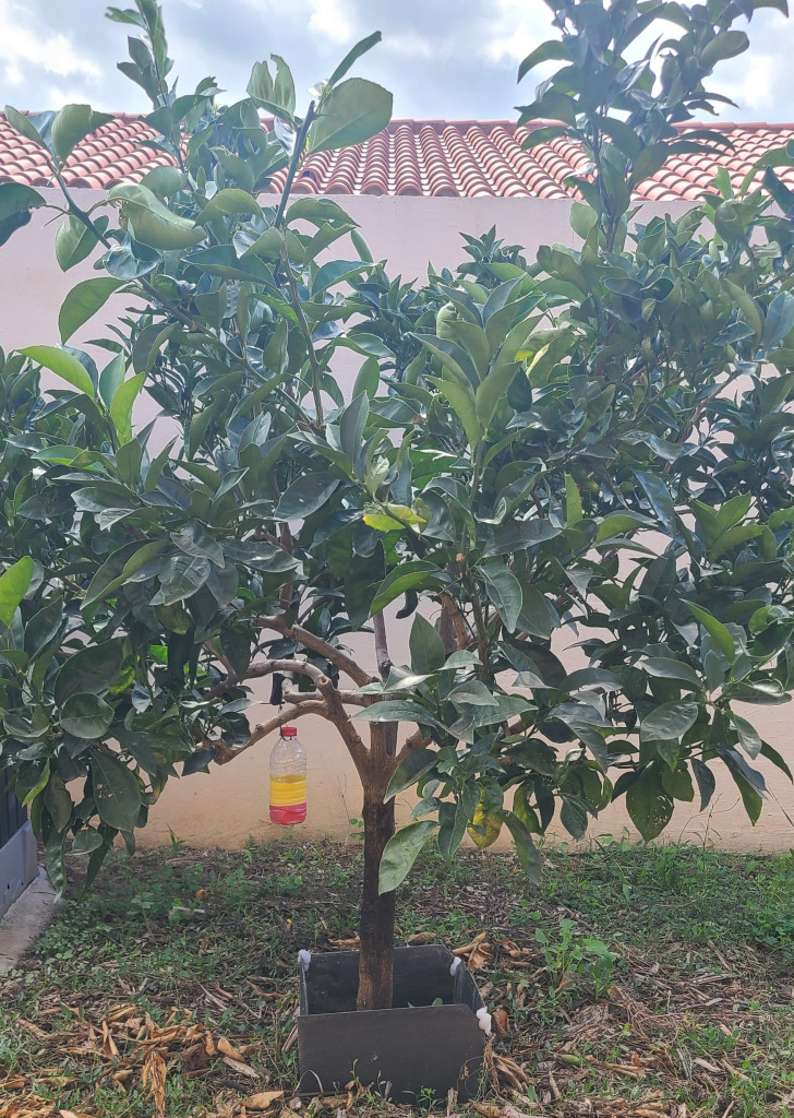 Zoomer sur l'image : 