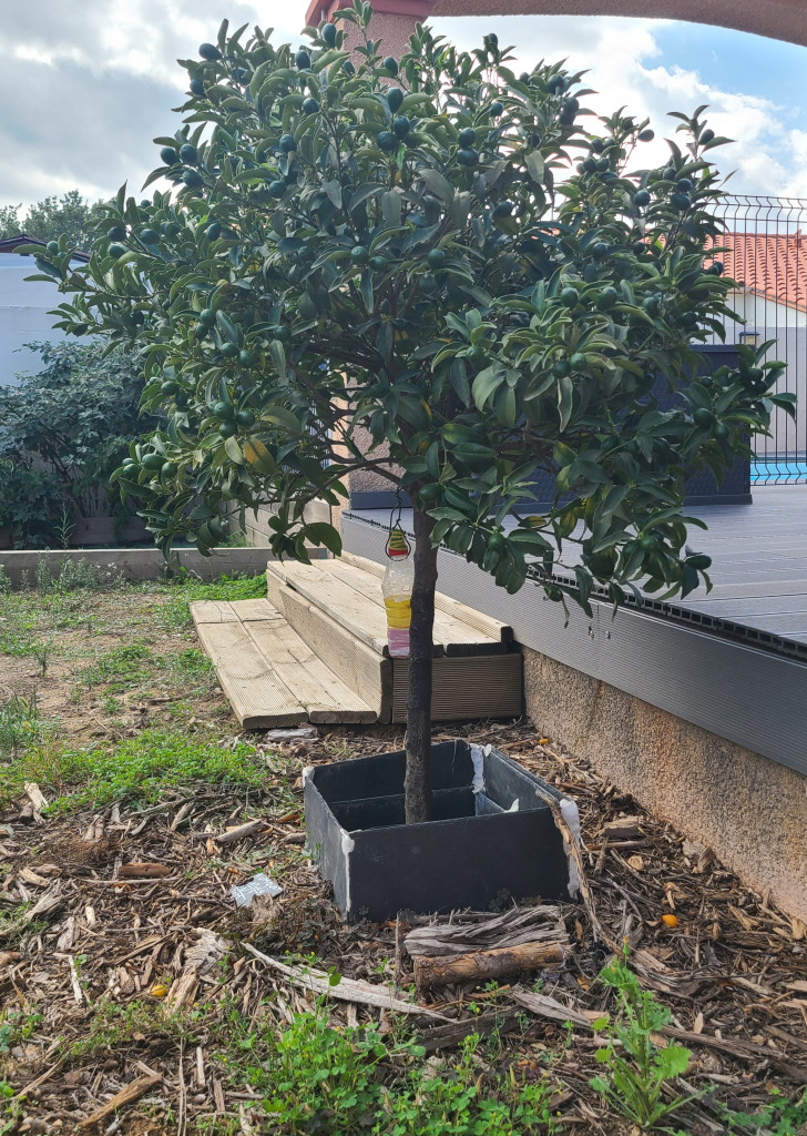 Zoomer sur l'image : 